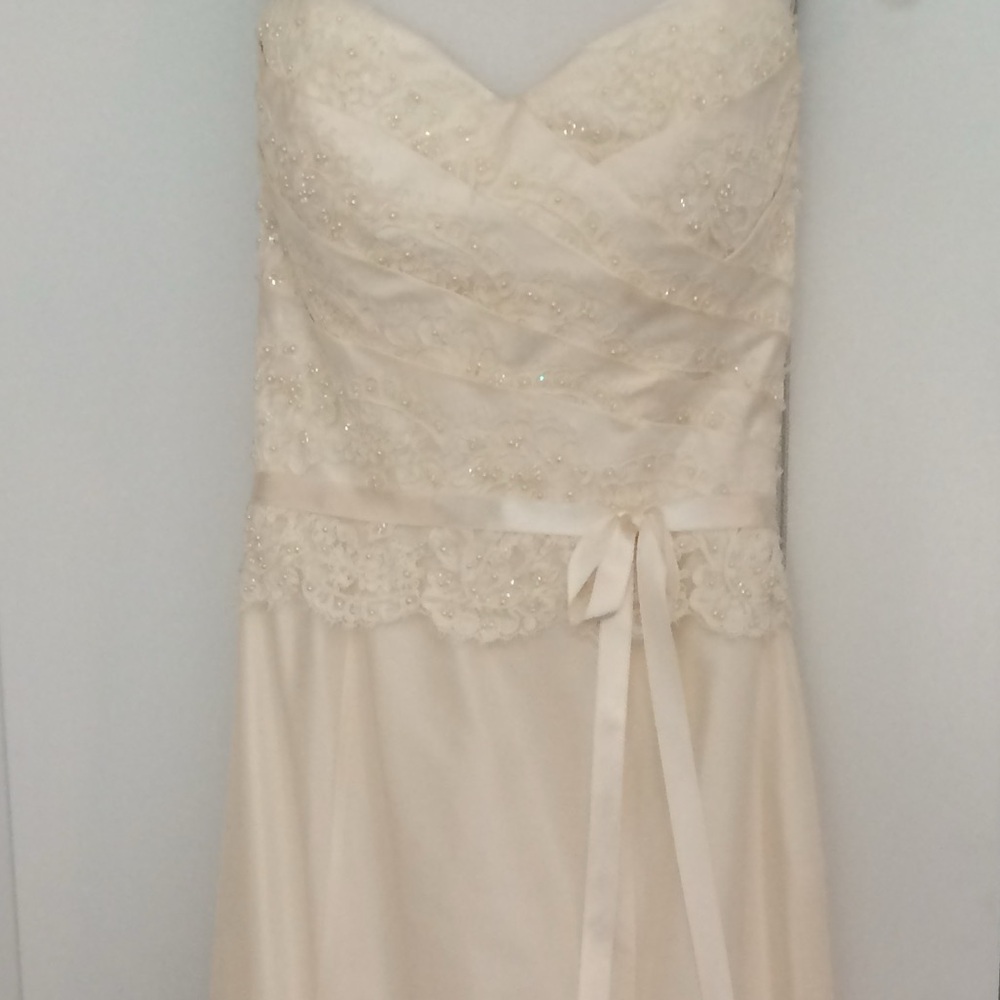 NEW/ NEVER WORN: Paloma Blanca Wedding Dress: style #CA05313 - Picture 12 of 15